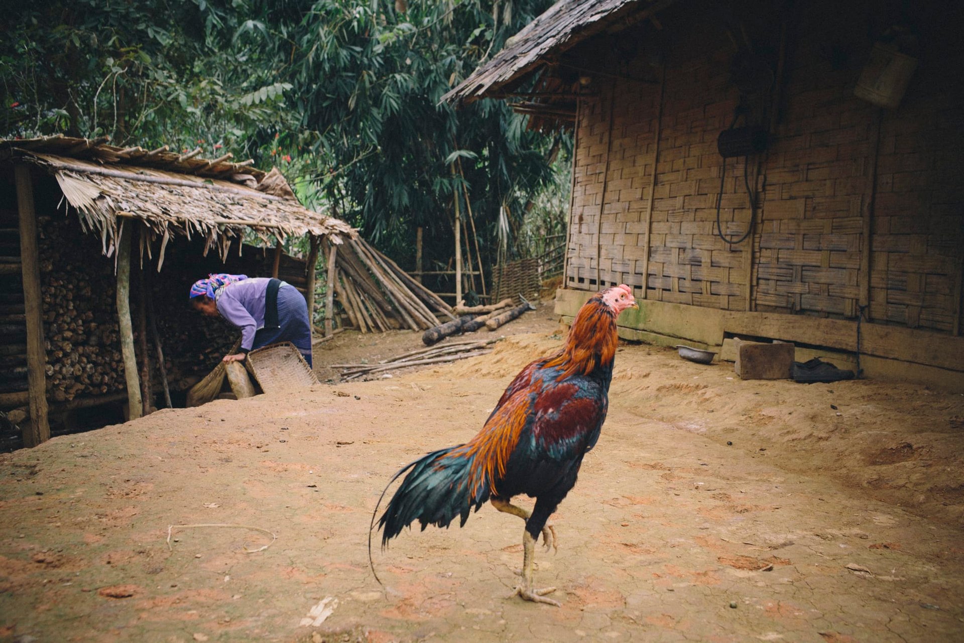 Paysage le long du Nam Ou