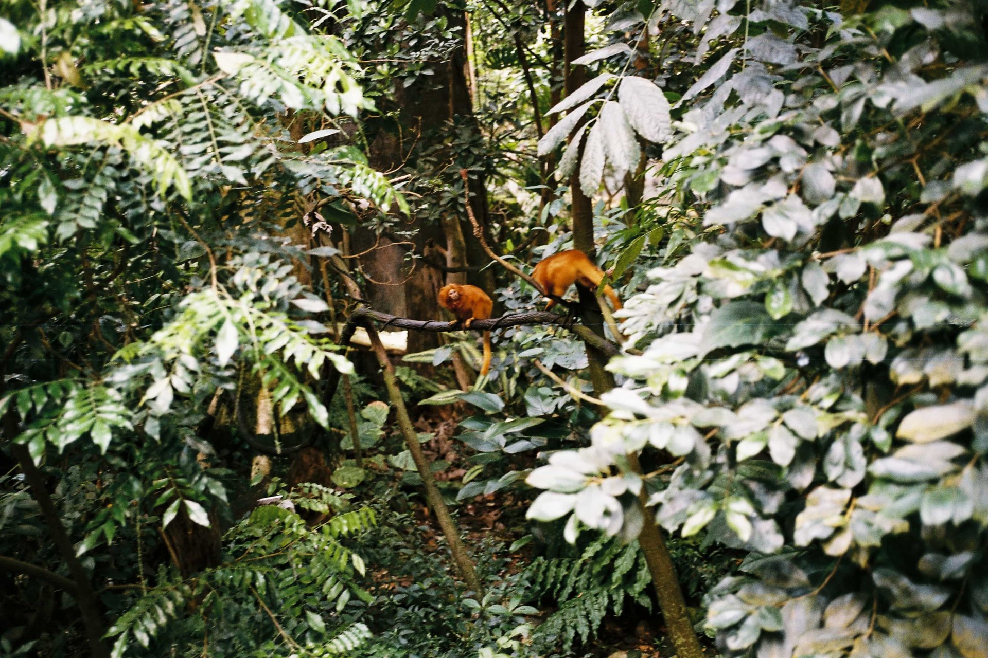 A Medio Camino — photographie