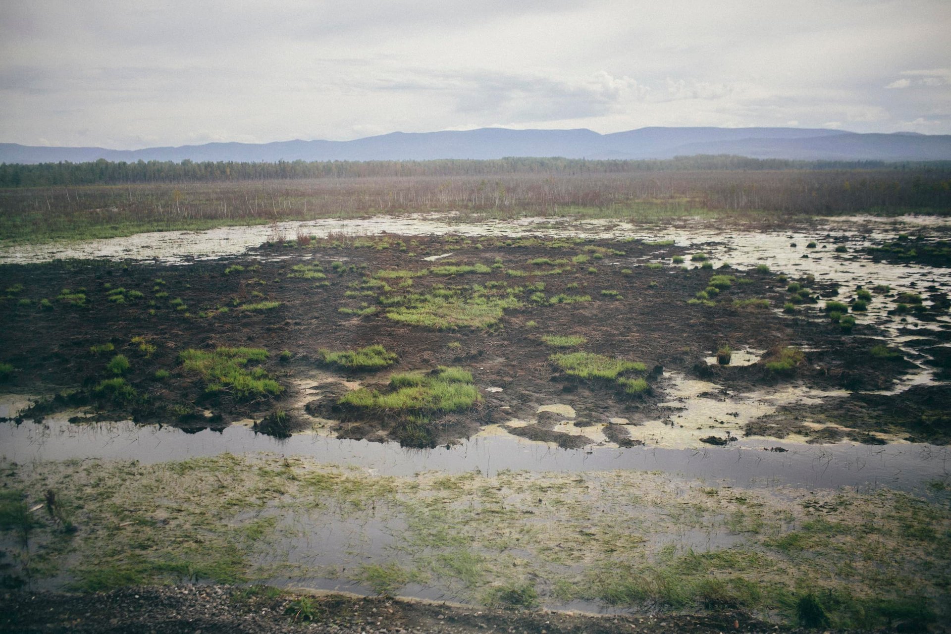 Transsibérien — paysage