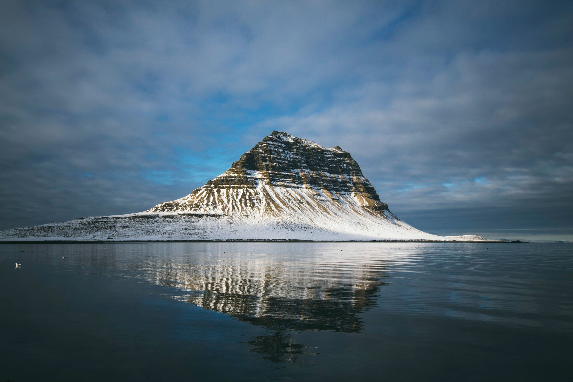 Paysage islandais, mousse et terrain lunaire