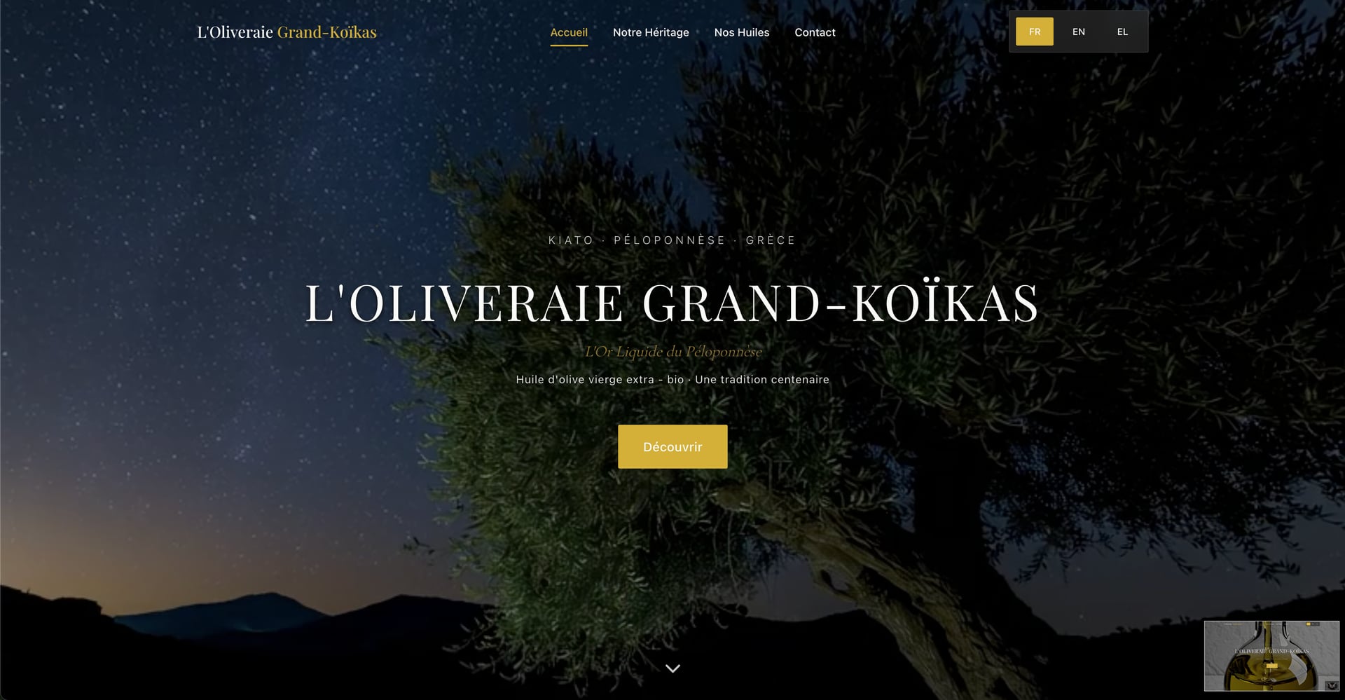 Page d'accueil, héro olivier centenaire sous ciel étoilé